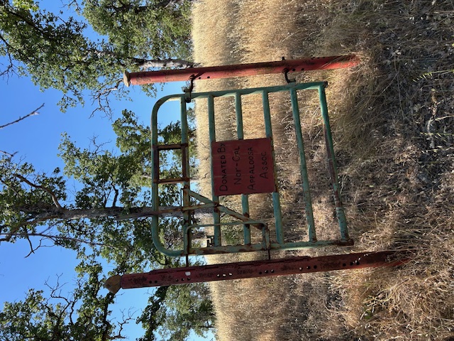 Hiking83
