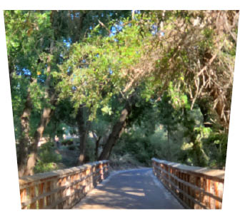 Woodland bridge